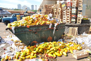 World wastes a trillion dollars worth of food each year 