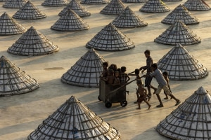 Sony World Photography Awards 2023: Open winners announced