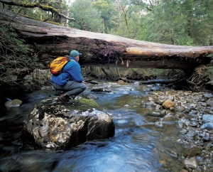 Five top campsites in Tasmania