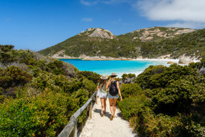 Walk of the week: Bald Head Trail