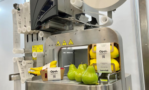 Opal, Bandall ink ANZ distribution agreement