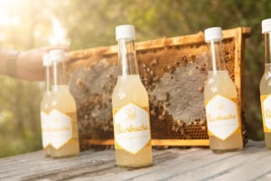 You beesbucha it&rsquo;s kombucha