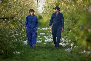 Ingham's acquires NZ organic chicken company