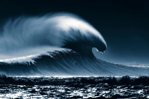 Ocean Photographer of the Year 2026 finalists announced