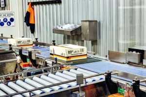 Casella Family to distribute Better Beer portfolio