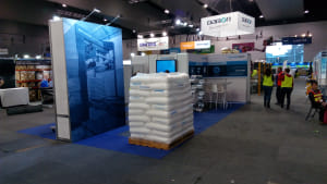 Beumer paints a picture of pallet success