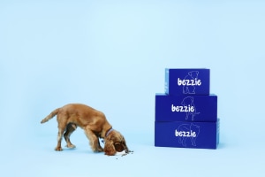Marley Spoon launches dogs&rsquo; new Bezzie