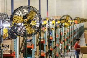Big Ass reduces heat stress 