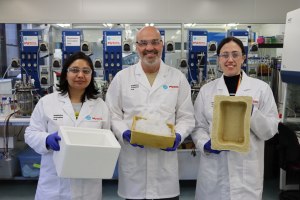 Biofoam boxes replace EPS for WA seafood 