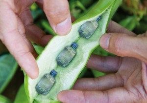 ABA weighs in on the oxo-degradable debate