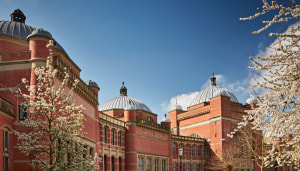 New antimicrobial coating to battle hospital infections