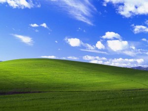 Photographers try to shoot Microsoft&rsquo;s newest 'iconic' wallpaper