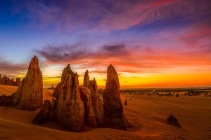 Welcome to Blue Tongue Tours - 2026 tours now open!