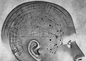 Buildings with brains