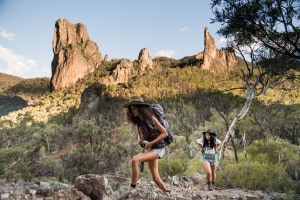 NSW offers exceptional day walks