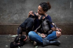 Wildlife Photographer of the Year call for entries