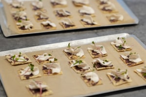Brevel opens commercial microalgae protein plant