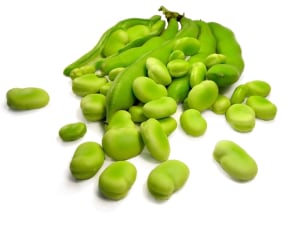 The shift to diversify protein supply