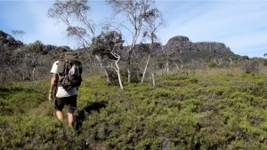 Five days hiking the Budawangs