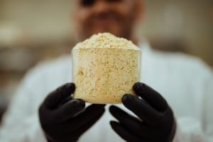 WOA explores feasibility for 10k tonne lupin protein facility