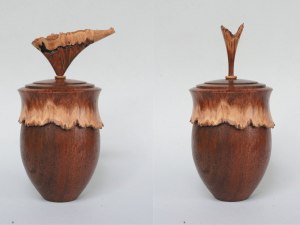 Making a Burl Lidded Box