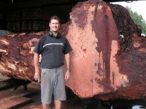 Timber auction offers old growth WA species