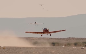 FRIDAY FLYING VIDEO: Busy Slings