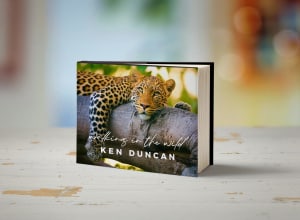 Walking in the Wild by Ken Duncan
