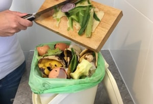 ABA urges compostables pathway in Qld plan