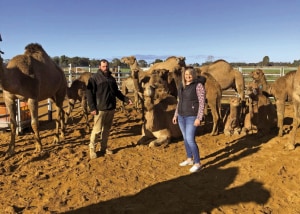 $25k grant supports Camel Milk Co growth 