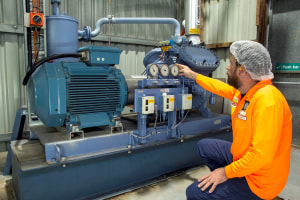 Campbell&rsquo;s plant upgrade delivers tasty results