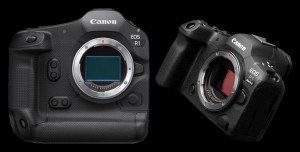 First look: Canon EOS R1 & R5mkII pre-production review