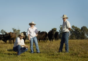 Coles expands carbon neutral beef range