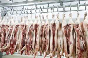 NSW EPA fines western Sydney abattoir $15k