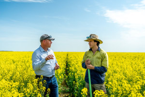 Cargill launches canola initiative 