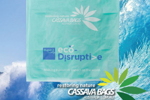Cassava Bags wins 'eco-disruptive' award 