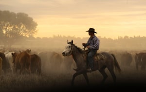 Photographing the outback (Part one)