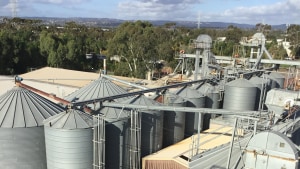 Boortmalt reopens Cavan malting plant