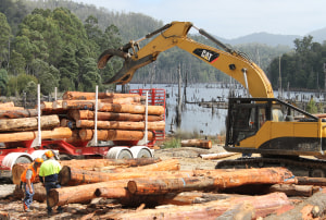 Timber sourced for new Spirit of Tasmania vessels