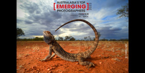 Australasia's Top Emerging Photographers opens for entry