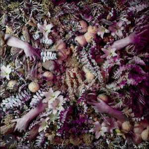Melbourne's PHOTO 2022 International Festival of Photography opens