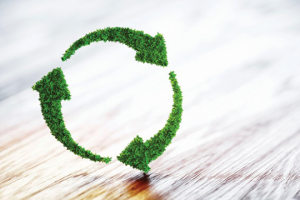 Circular economy drives digital transformation in packaging