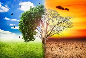 Research shows emissions on upward trajectory  