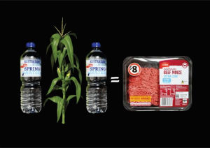 Coles makes meat trays sustainable