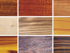 ﻿Colour in Wood
