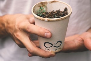 Compost After Coffee feeds garden not landfill
