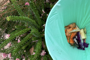 Compostable packaging supports landfill diversion 
