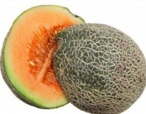 Contaminated rockmelon removed from distribution