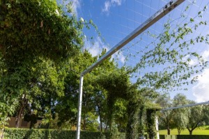 Australia&rsquo;s first green carpark 