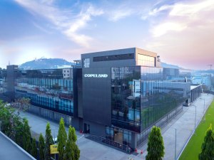 Copeland targets India 